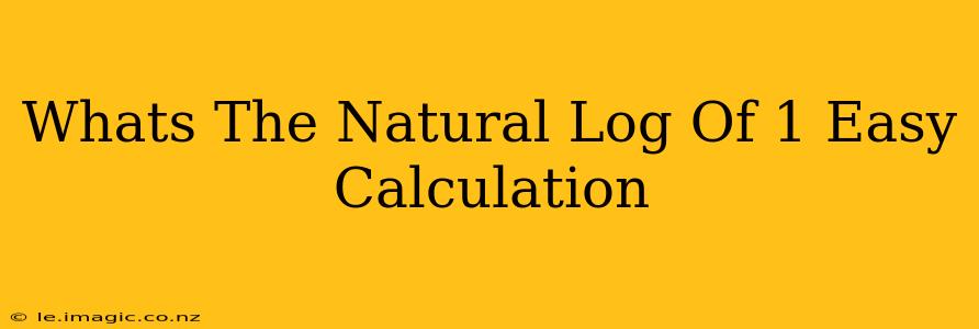 Whats The Natural Log Of 1 Easy Calculation
